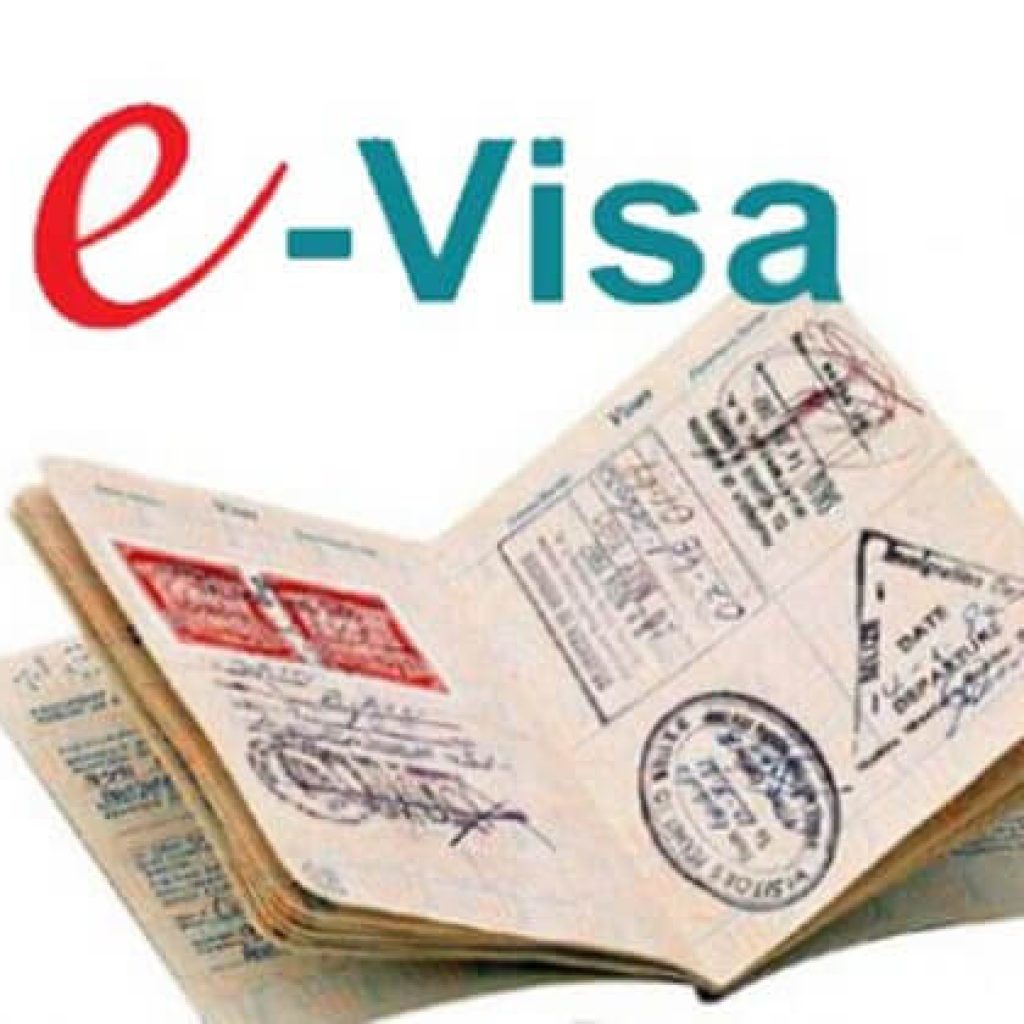 электронная виза