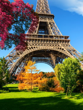 деревья-в-парижском-парке-осенью-28W9Y6E.png